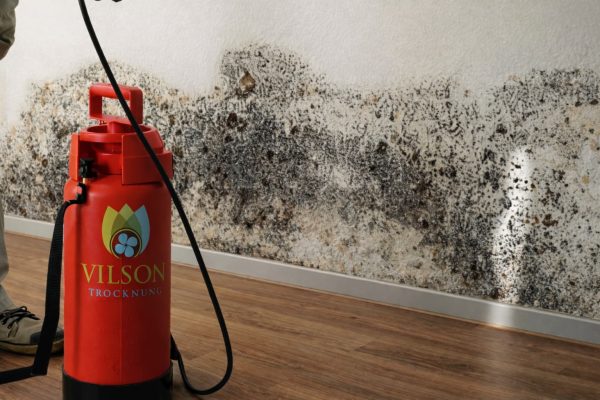 Schimmelschaden im Rahmen einer Komplettsanierung